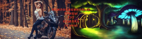 МДПВ Волгодонск
