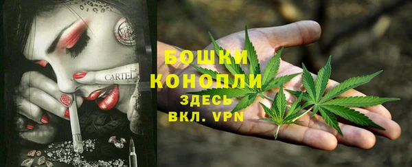 МДПВ Волгодонск