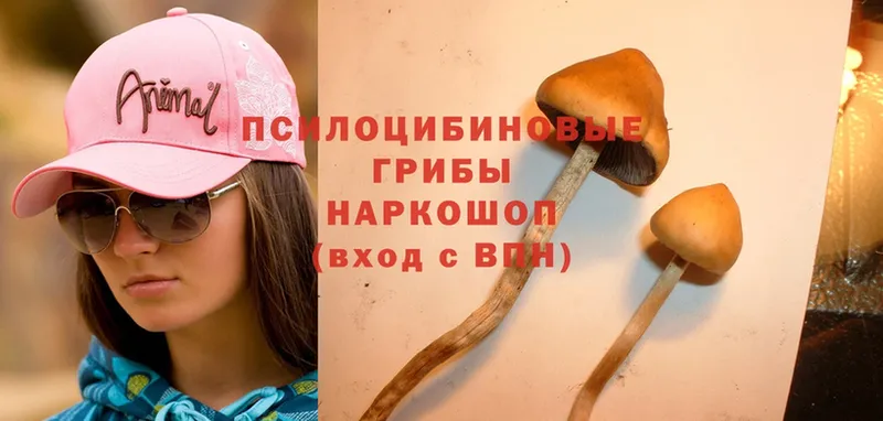 Псилоцибиновые грибы мухоморы  это формула  Киров 